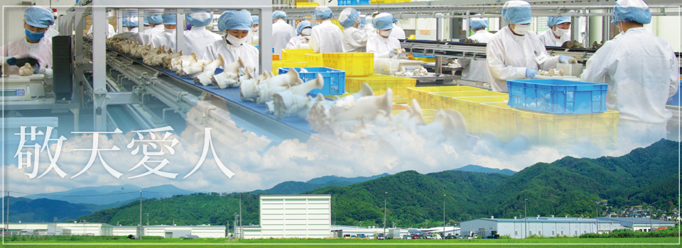 栽培全国生産NO.1の信州中野より安心安全なきのこを食卓へ