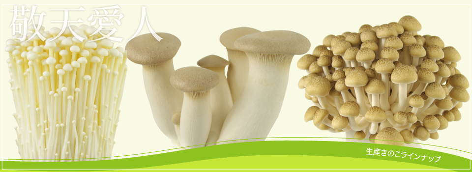 栽培全国生産NO.1の信州中野より安心安全なきのこを食卓へ